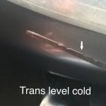 Trans level cold.jpg