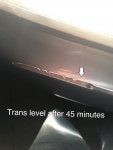 trans level after 45 minutes.jpg