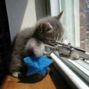 Anti Dog Sniper